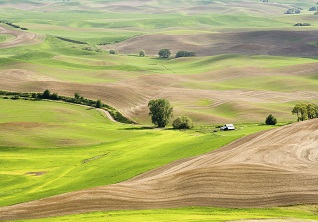 Agriculture